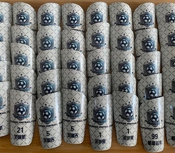 Fotbollsbenkuddars roll